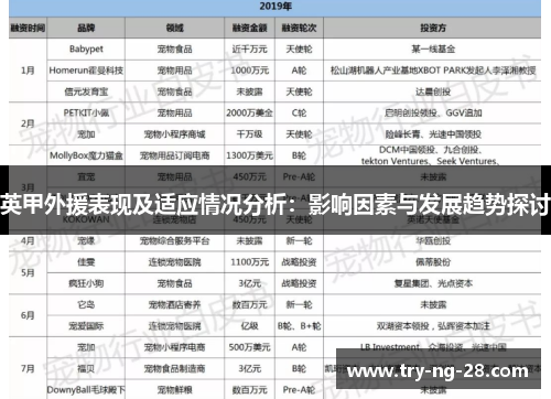 英甲外援表现及适应情况分析:影响因素与发展趋势探讨 英甲外援表现及适应情况分析:影响因素与发展趋势探讨