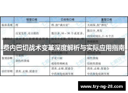 费内巴切战术变革深度解析与实际应用指南