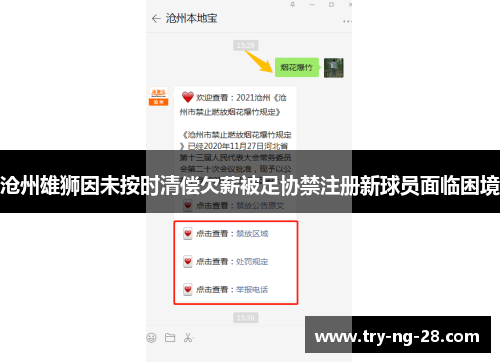 沧州雄狮因未按时清偿欠薪被足协禁注册新球员面临困境
