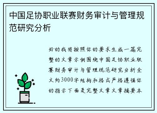 中国足协职业联赛财务审计与管理规范研究分析 中国足协职业联赛财务审计与管理规范研究分析