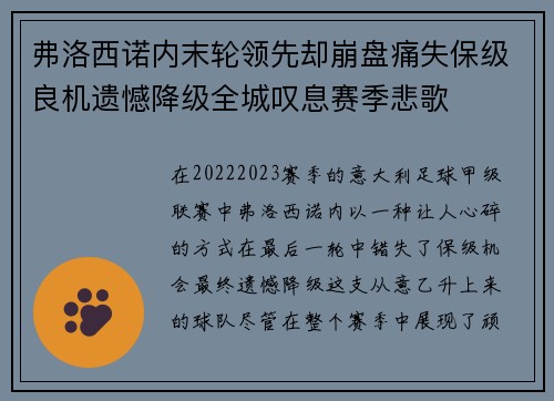 弗洛西诺内末轮领先却崩盘痛失保级良机遗憾降级全城叹息赛季悲歌